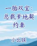 一胎双宝：总裁爹地契约妻
