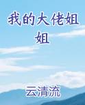 我的大佬姐姐排行榜完结版
