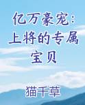 亿万豪宠：上将的专属宝贝
