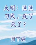 大明：区区刁民，反了天了？