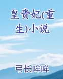 皇贵妃(重生)小说