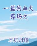一篇狗血火葬场文
