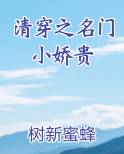 清穿之名门小娇贵