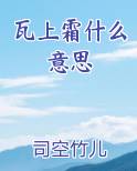 瓦上霜什么意思笔趣阁