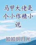 马甲大佬是个小作精小说