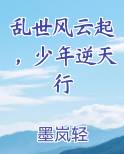 乱世风云小说