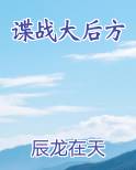 谍战大后方