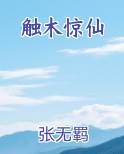 触木惊仙小说短剧