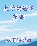 太子奶爸在花都