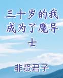 三十岁的我成为了魔导士