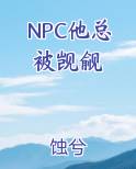 NPC他总被觊觎