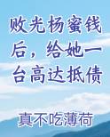 败光杨蜜钱后，给她一台高达抵债