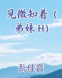 见微知着（弟妹 H）在线阅读