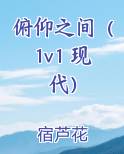 俯仰之间（1v1 现代）完结小说