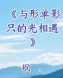 《与形单影只的光相遇》