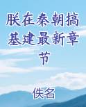 朕在秦朝搞基建最新章节