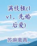 满枝桠(1v1，先婚后爱)