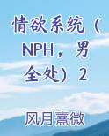 情欲系统（NPH，男全处）2