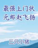 最强上门状元郎赵飞扬